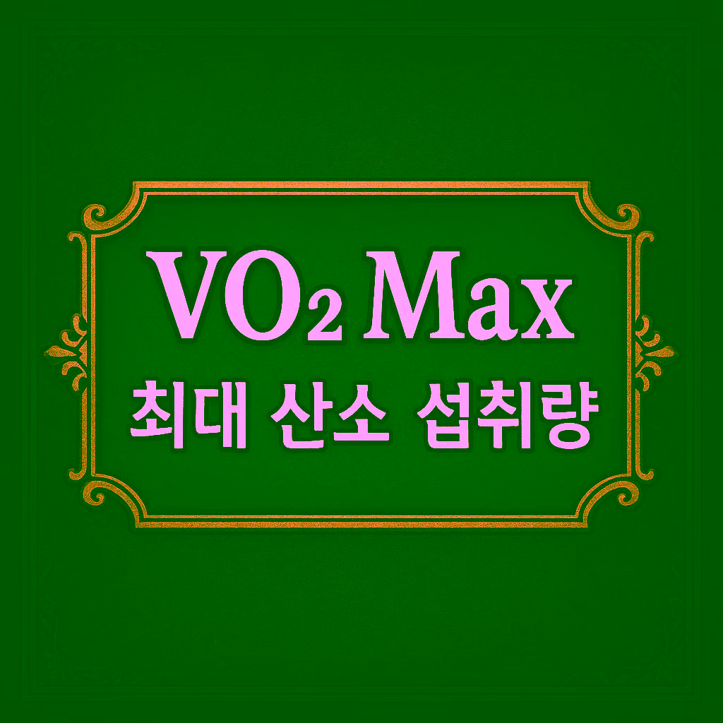 02. VO₂ Max (최대 산소 섭취량)