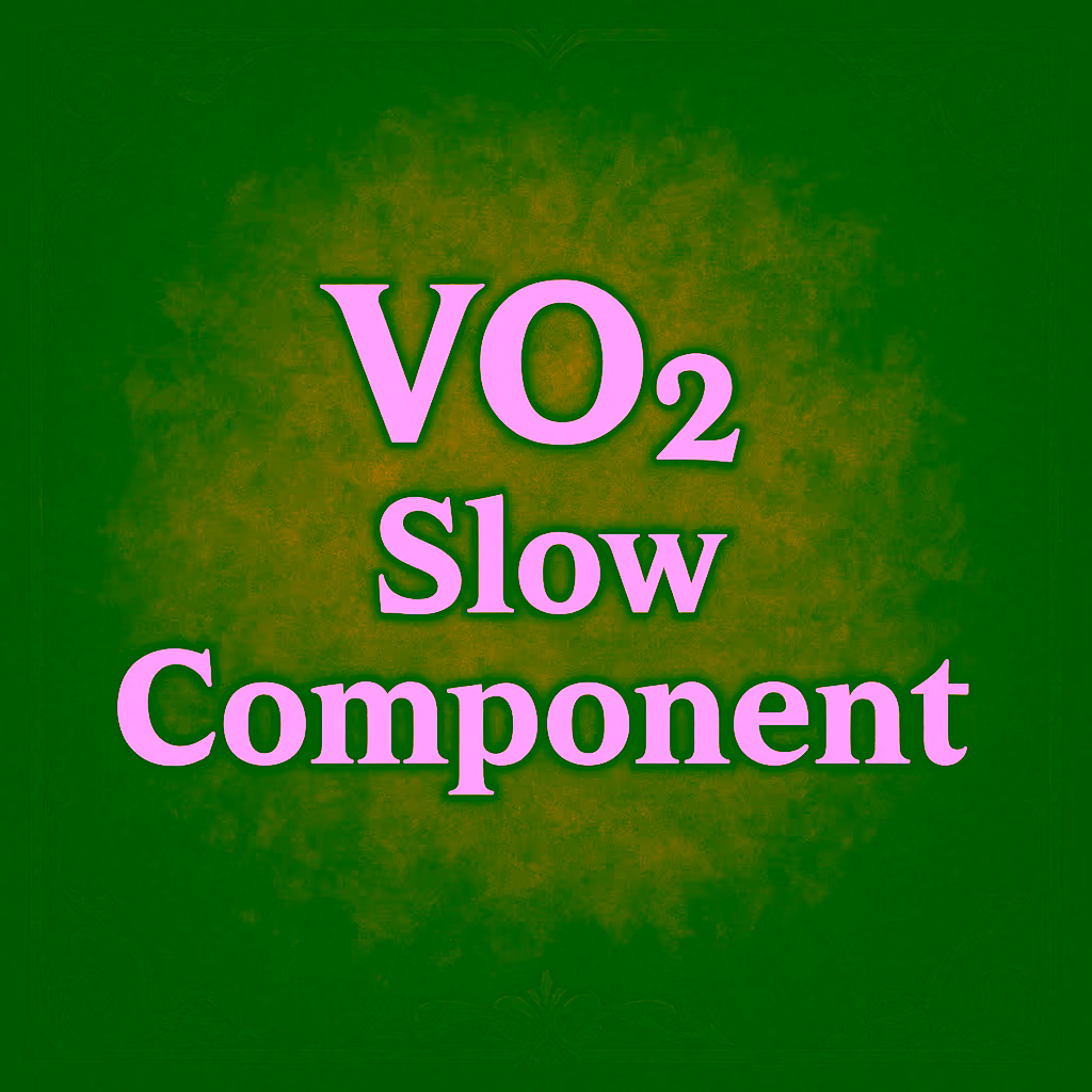 15. VO₂ Slow Component